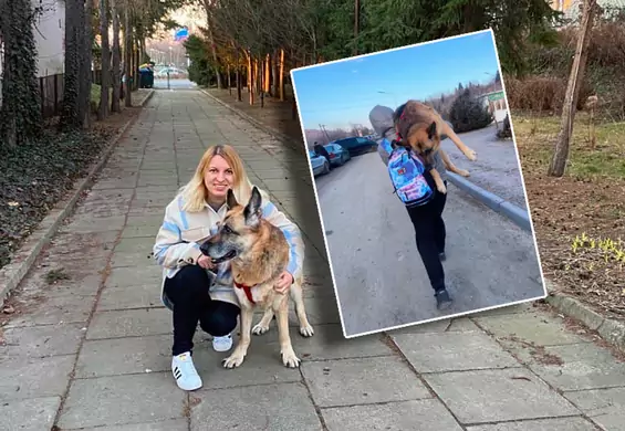 Prawdziwa historia psa niesionego przez granicę. Alisa mówi nam o ucieczce z Ukrainy