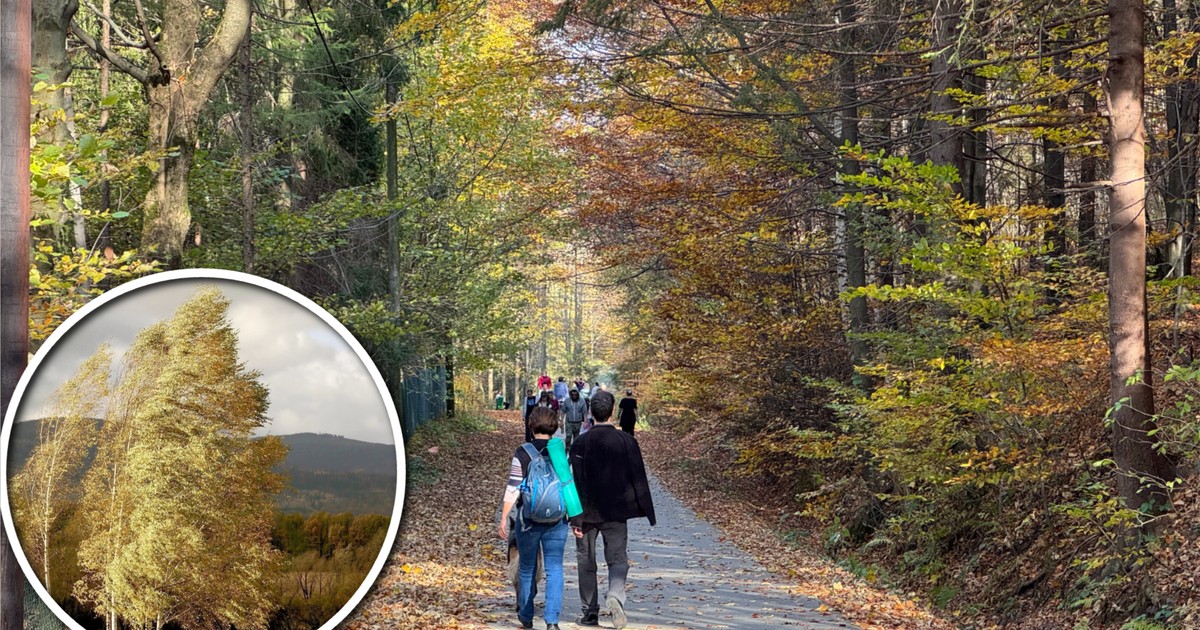 Doczekaliśmy się babiego lata? Pogoda na dziś szykuje spore zaskoczenie. Są alerty IMGW!
