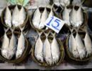 Ile tak naprawdę kosztuje ryba?