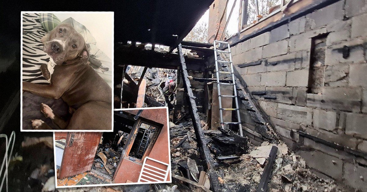 Dramatyczny apel po pożarze domu. "Znalezione byłyby chociaż kości..."