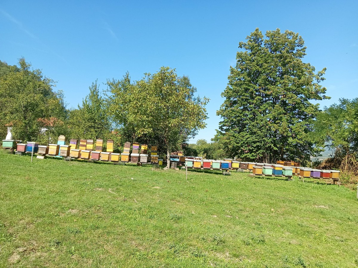 Gazdinstvo đorđević