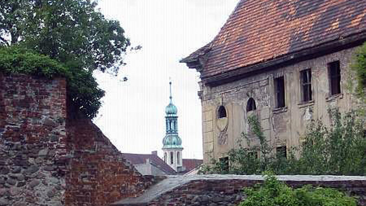 Policjanci z Żar (Lubuskie) odzyskali wazon z XVII w. skradziony z ogrodu renesansowego pałacu Promnitzów w tym mieście. Cenny zabytek padł łupem ekipy remontowej - poinformowała PAP rzeczniczka policji w Żarach Kamila Zgolak-Suszka.