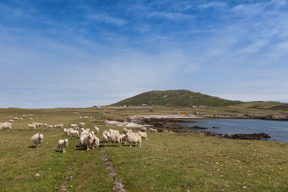 Bardsey Island