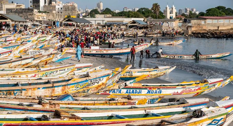 peche senegal poissons mareyeurs