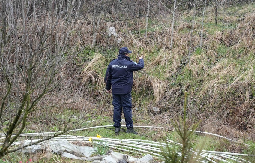 Potraga za nestalom Dankom Ilić