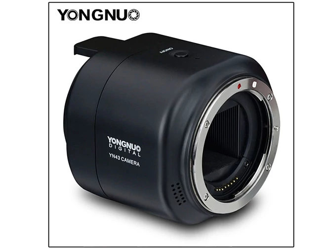 Yongnuo YN43