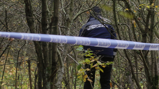 Zwłoki kobiety znalezione w lesie w Poznaniu