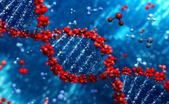 Klonowanie i podejrzane eksperymenty. Chińscy naukowcy zdołali zaszokować nawet własny rząd