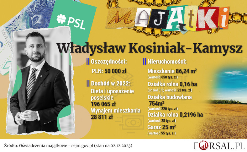 Oświadczenie majątkowe - Władysław Kosiniak Kamysz