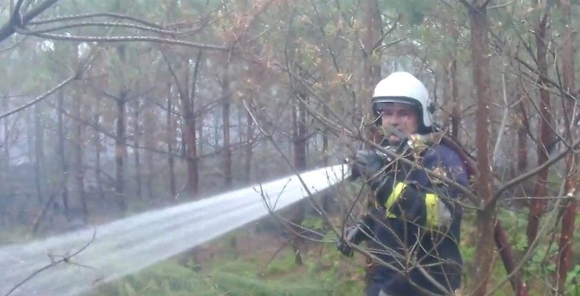 Policja szuka podpalacza grasującego pod Kaliszem