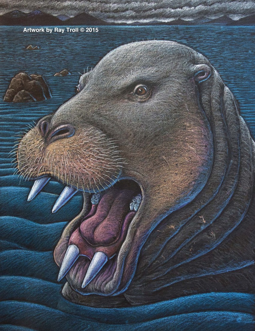 Ounalashkastylus tomidai je verovatno imao zube raspoređene u više redova (FOTO: Ray Troll)