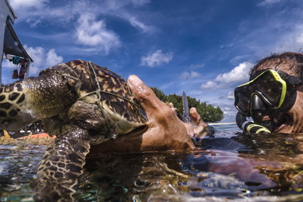 Te 14 gatunków oceanicznych już wyginęło. Kilkanaście innych prawdopodobnie zniknie za naszego życia