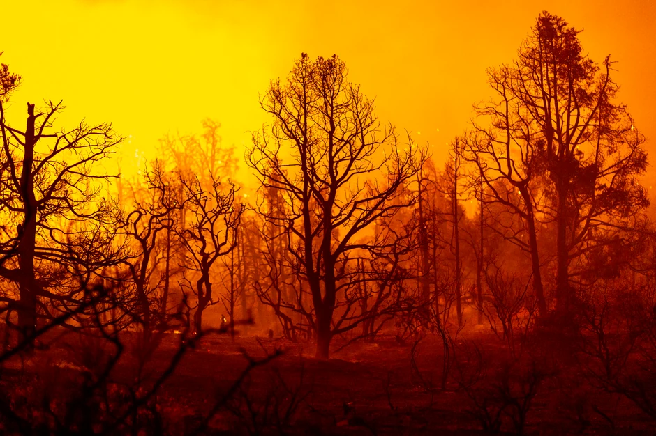 Požari u Kaliforniji