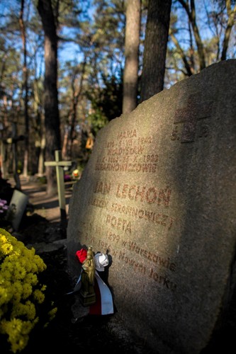 Cmentarz leśny w Laskach