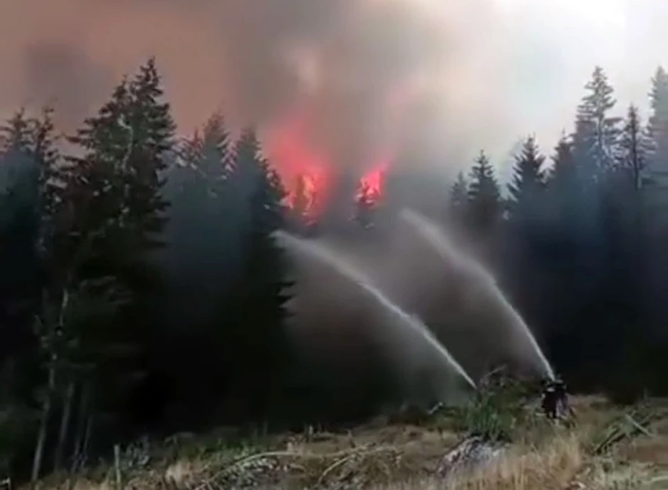 požar na Kamenoj Gori