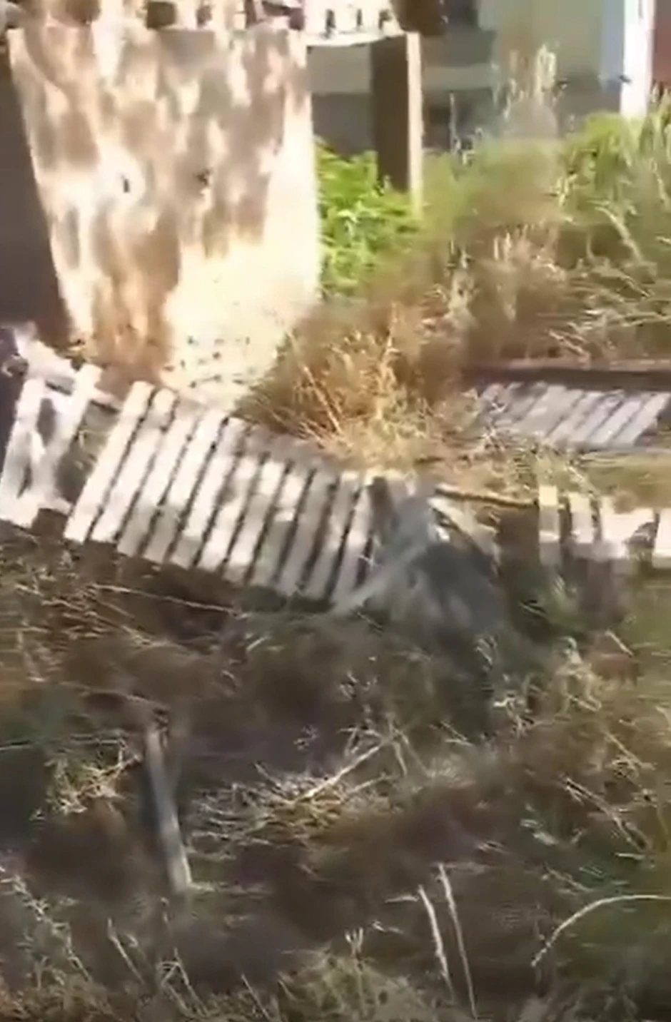 Ceroviti potok, Mali Crljani, autobus sletio s puta