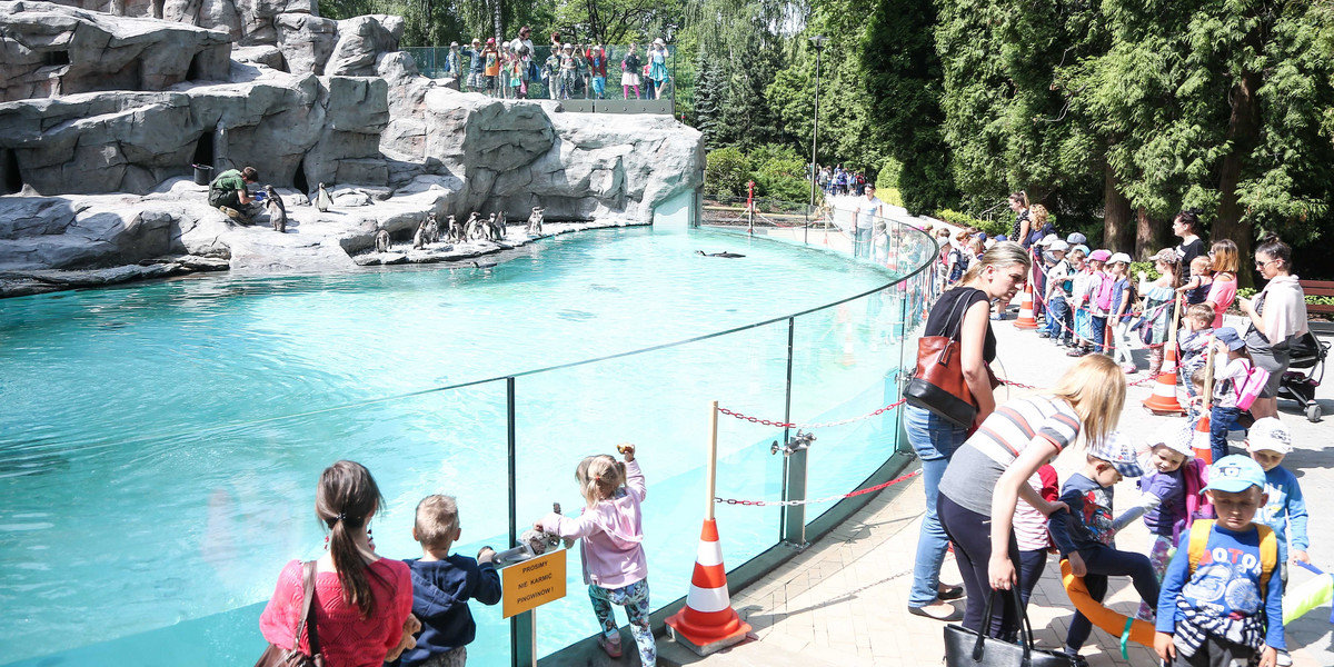 Ogród Zoologiczny zaprasza dużych i małych na wyjątkowe zwiedzanie.