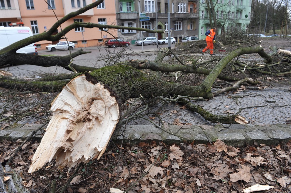 Usuwanie skutków wichury, która przeszła przez woj. zachodniopomorskie