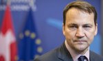 Sikorski i Schetyna o "bezczelnej formule" Romana Giertycha