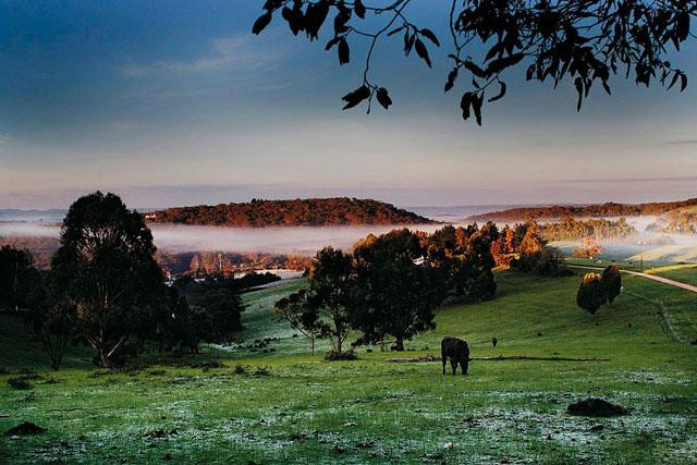 Galeria Australia - Półwysep Fleurieu, obrazek 4