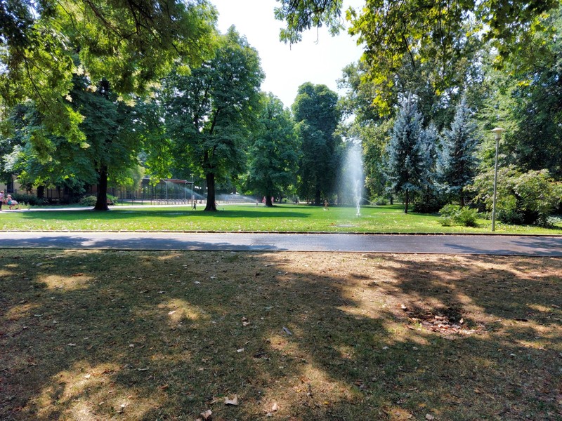 Margaret Island, the lawn is watered on one side, but not on the other side. 