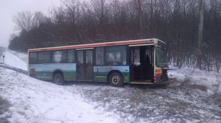 Leszaladt a busz az autópályáról / Fotó: Blikk