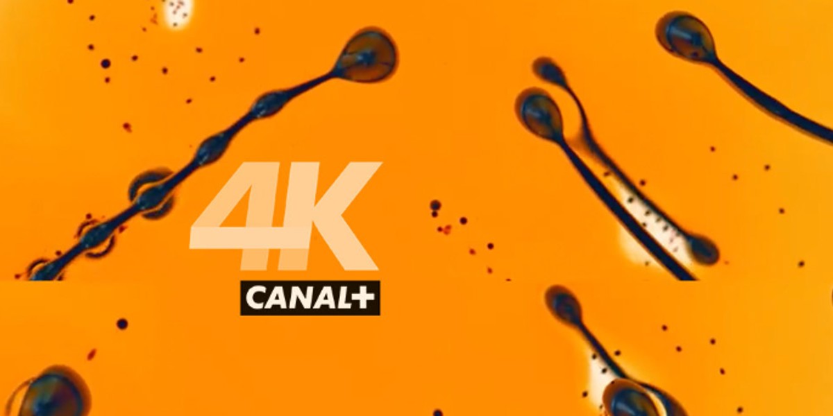 Canal+ 4K Uktra HD emitować będzie wydarzenia sporrowe, filmy, seriale i koncerty