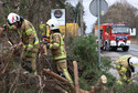 Strażacy usuwają powalone przez wichurę drzewa w warszawskiej Falenicy