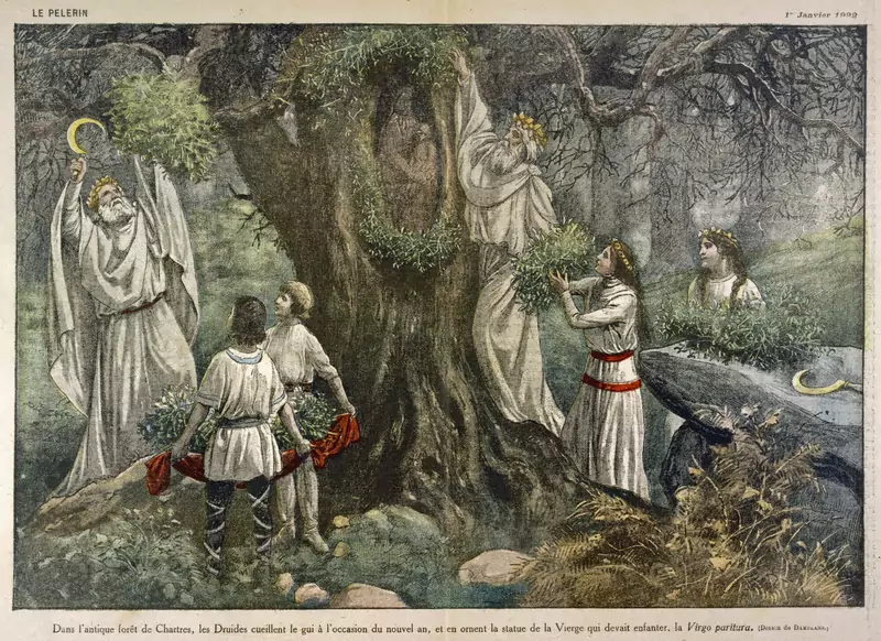 Druidzi, celtyccy kapłani, zbierający jemiołę do obrzędów Fot. Mary Evans Picture Library