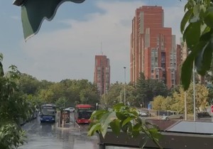 Vidikovac