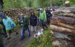 Spór o Puszczę Białowieską: Grzywna dla mężczyzn, którzy zignorowali nakazy strażników leśnych