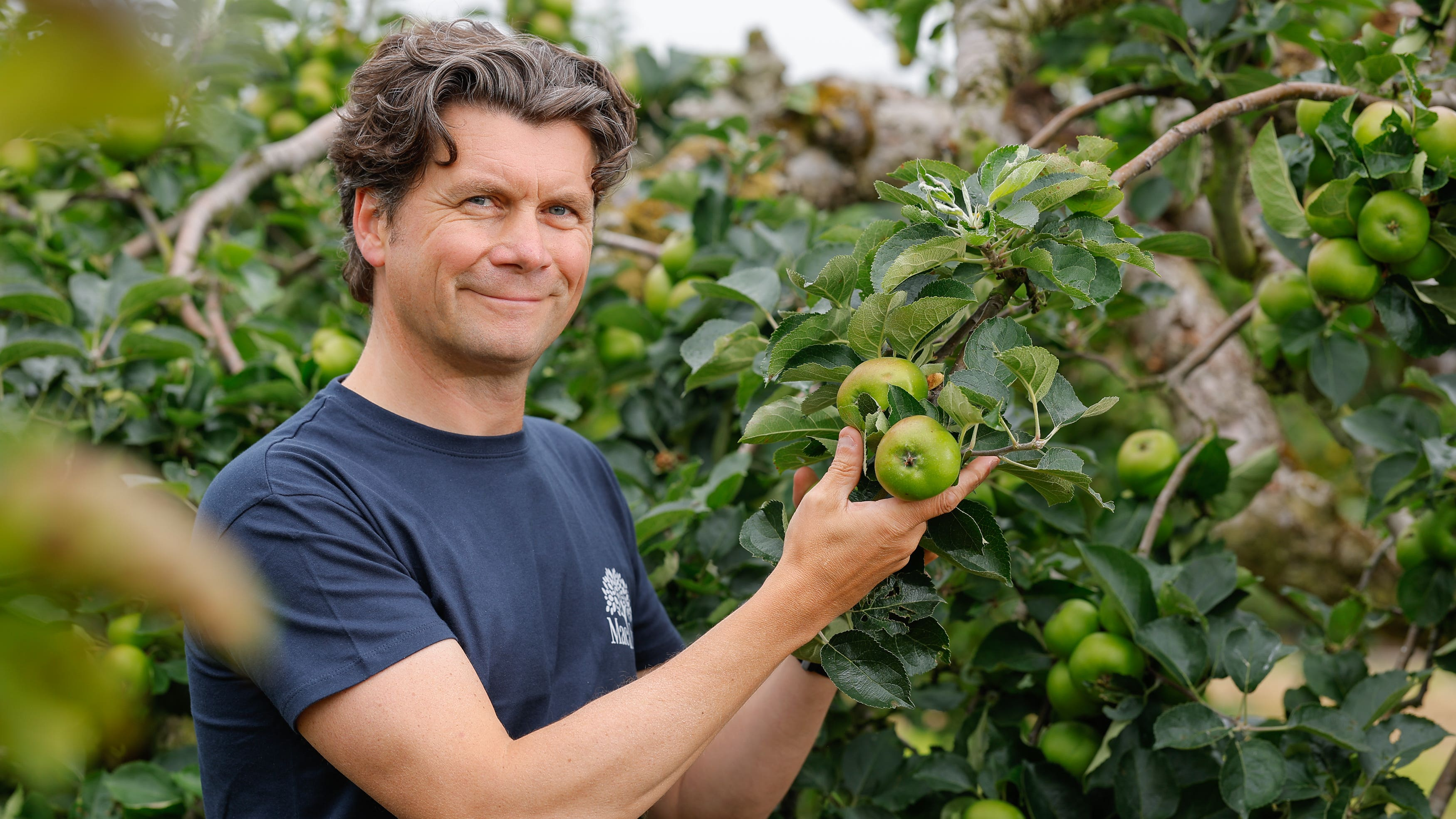 Armagh Bramley apples: EU protected status boosts growers