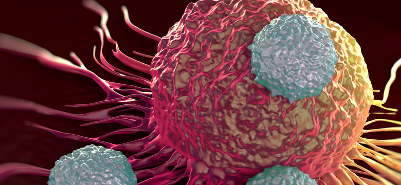 Naukowcy stworzyli bakterie-cyborgi, które mogą atakować komórki rakowe