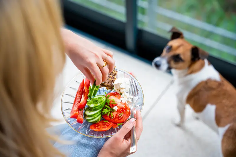 Od kilku lat nie jem mięsa, dlatego to dieta Barneja stanowiła wyzwanie w obniżeniu śladu węglowego