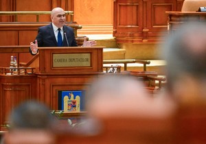 Pala Vlada Rumunije