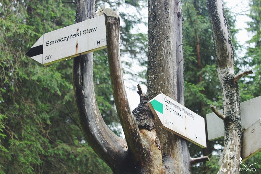 Drogowskaz prowadzący nad Smreczyński Staw