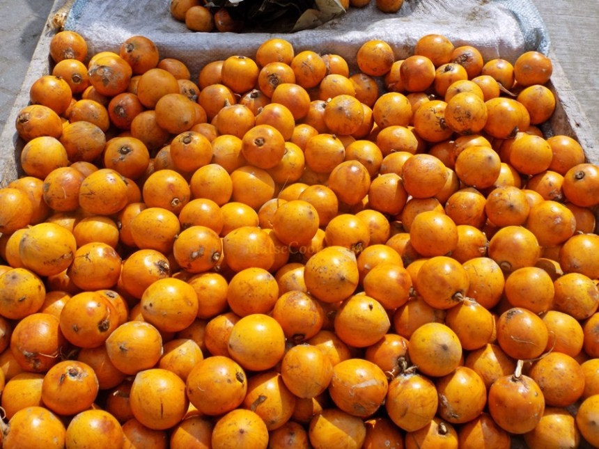 African star apple/Agbalumo/Udara [Premium times ng]