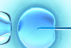 Ovum Cold Color (in vitro fertilization)