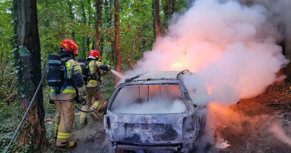 Strażniczka miejska z piekła rodem. Kazała spalić samochód swojego męża