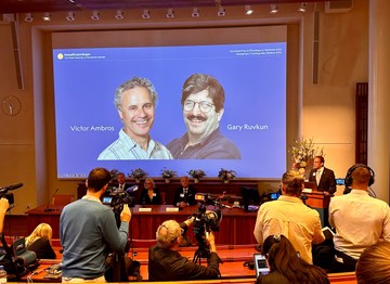 A magyar immunológus elmondta, miért is fontos a Nobel-díjjal jutalmazott felfedezés