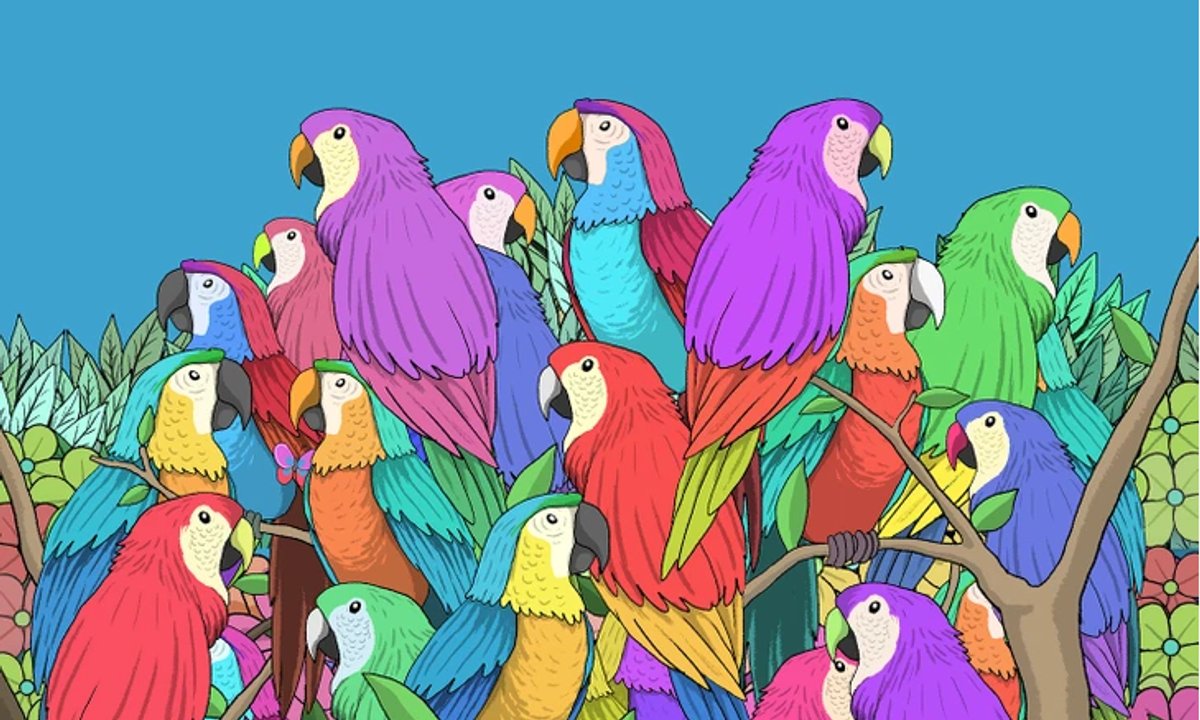 Zagadka na spostrzegawczość. Znajdź motyla wśród kolorowych papug