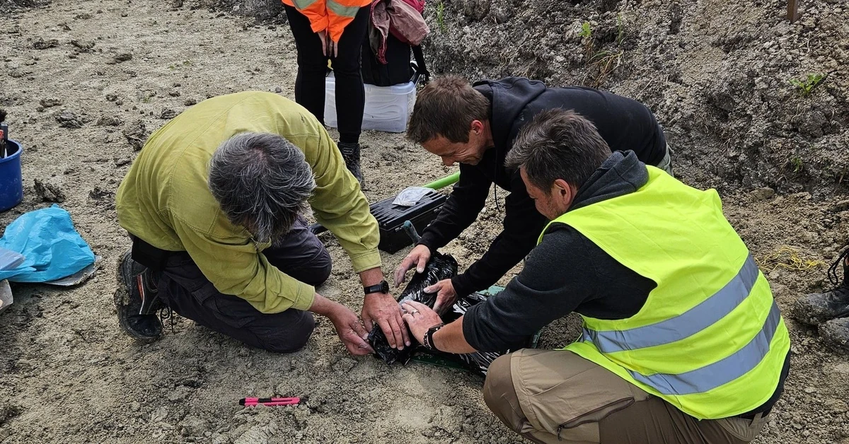 Sensacyjne odkrycie na budowie drogi S17. Ma ponad 20 000 lat