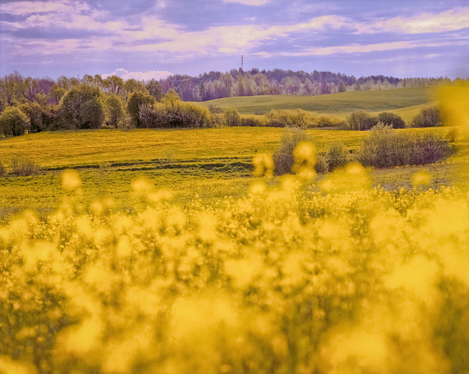 Gołdapska Góra (zwana Piękną Górą)