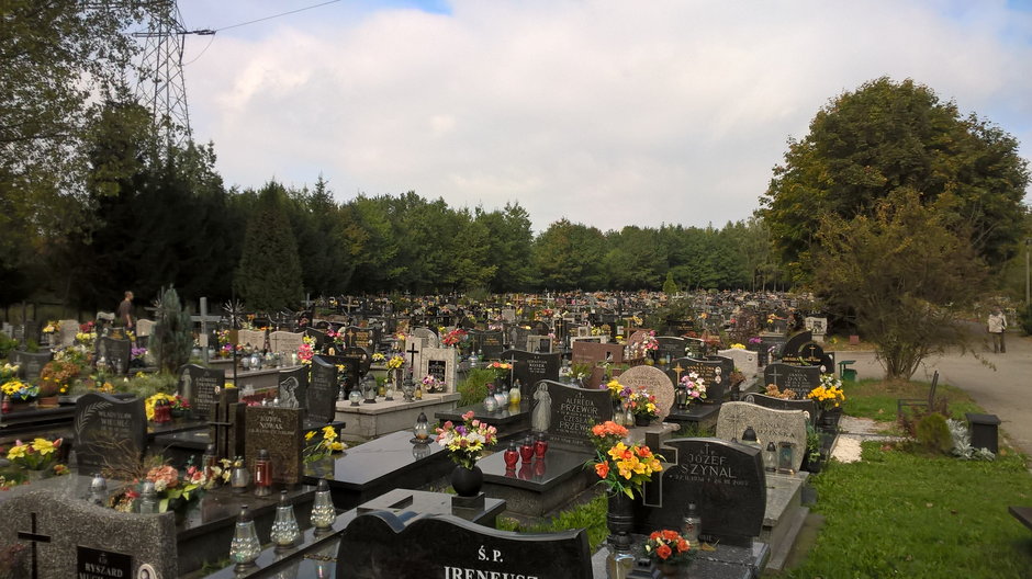 Wszystkich Świętych w Krakowie. Sprawdź, jak dojechać na cmentarze