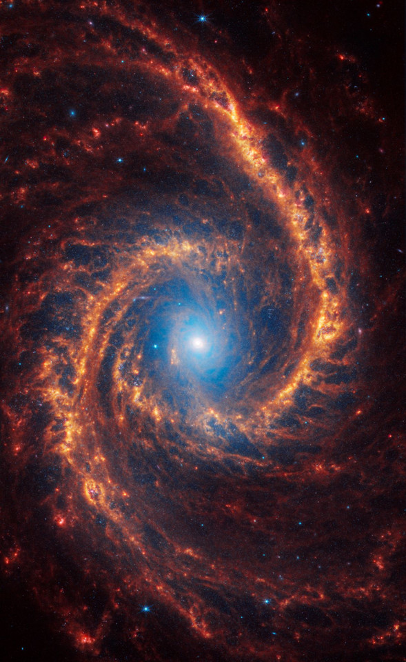 Galaktyka NGC 1566