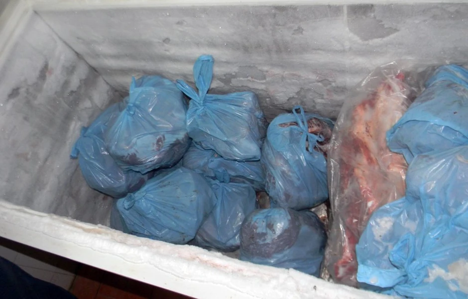 Otkrivena nelegalna klanica u Ratkovu