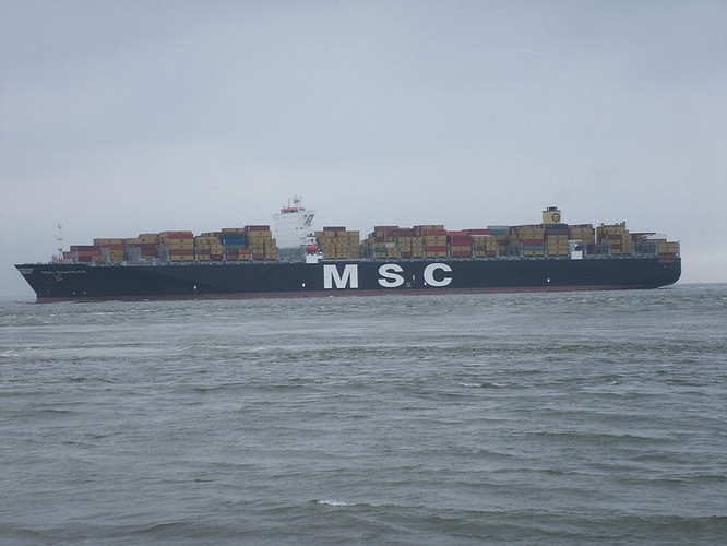 MSC Beatrice to jeden z kilkunastu bliźniaczych kontenerowców wyprodukowanych przez Samsunga i Daewoo dla szwajcarskiego konsorcjum MSC. Jednostki te mierzą 366 metrów długości oraz 51 metrów szerokości, a ich pojemność to 135 tys. ton.
