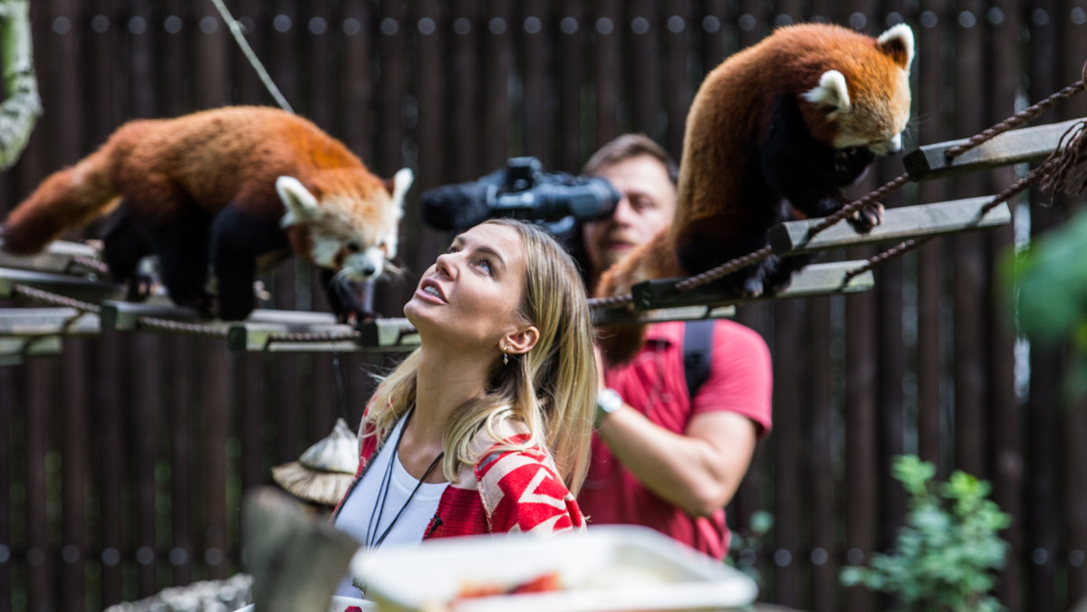 Agnieszka Woźniak-Starak w poznańskim ZOO