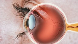 zespół suchego oka pod lupą naukowców. jak gruczoły łzowe z komórek ma