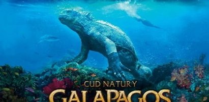 Mamy bilety na Galapagos